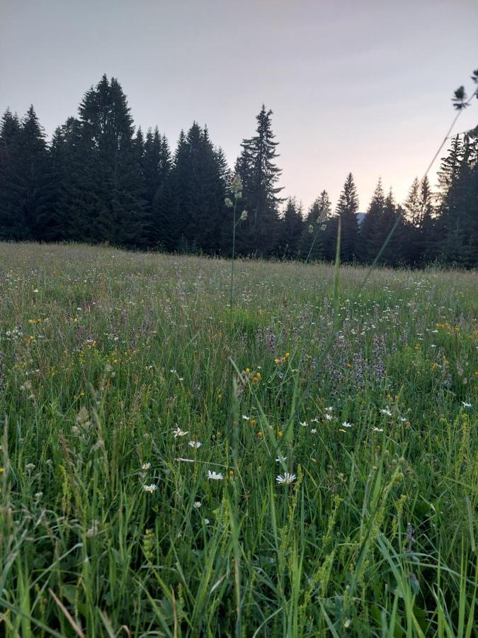 Sumski Raj Žabljak Buitenkant foto