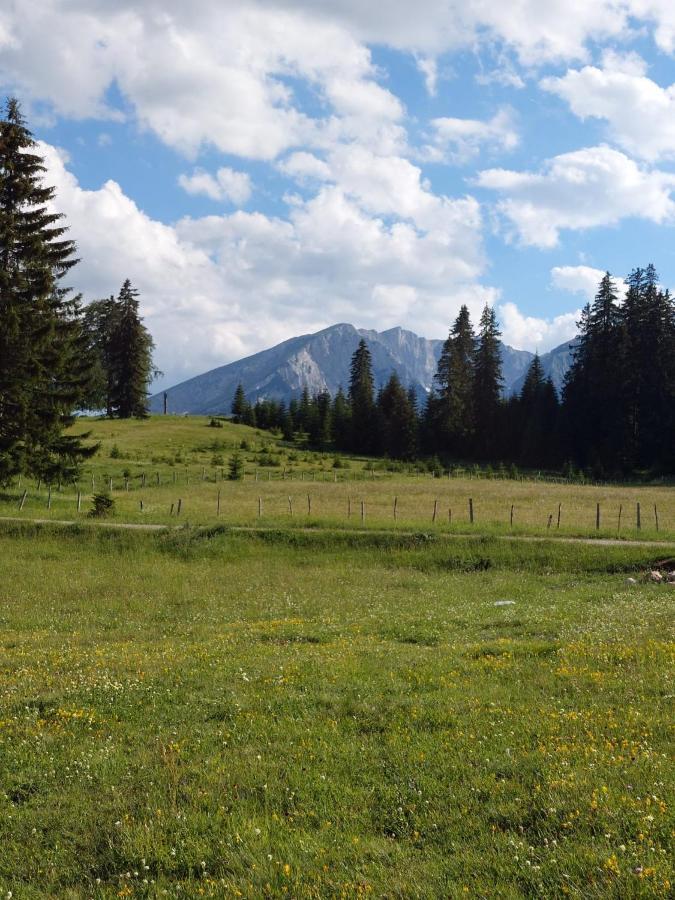 Sumski Raj Žabljak Buitenkant foto