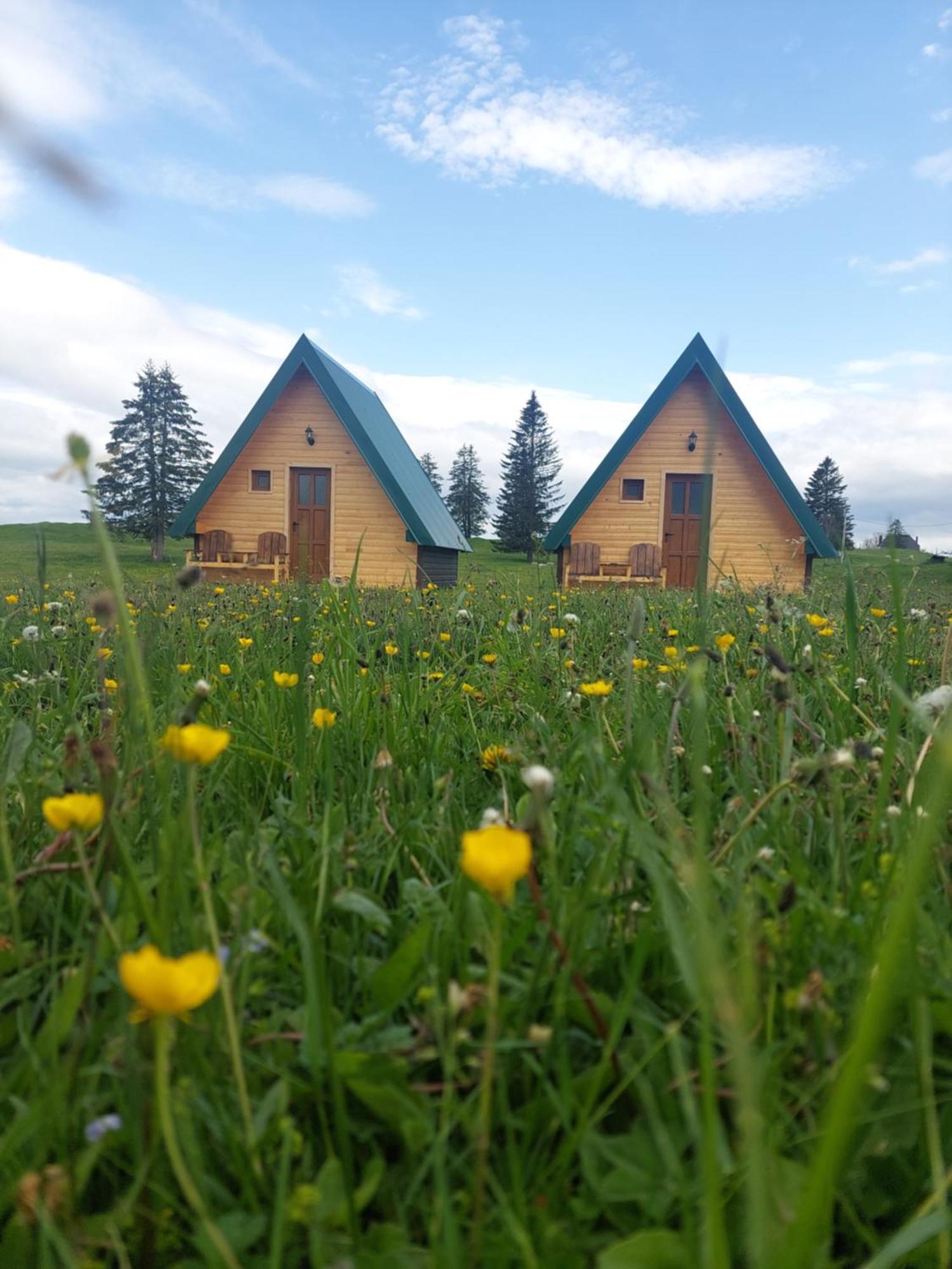 Sumski Raj Žabljak Kamer foto