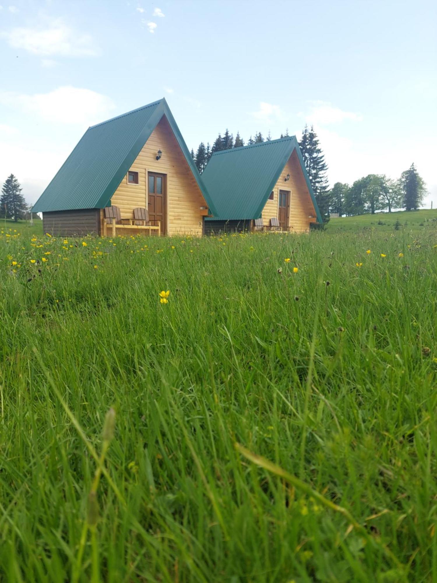 Sumski Raj Žabljak Kamer foto