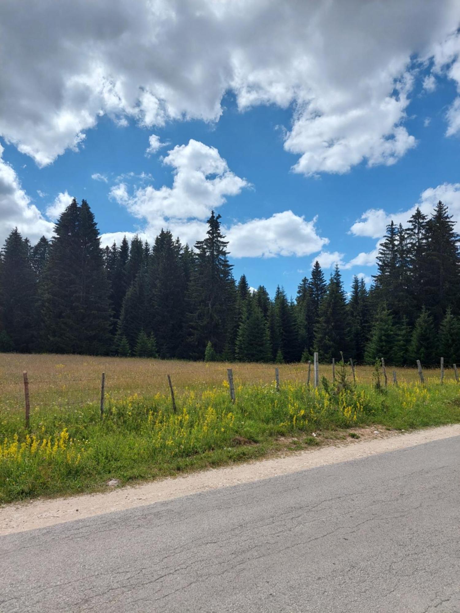 Sumski Raj Žabljak Kamer foto